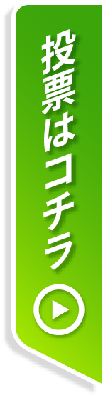 投票はこちら